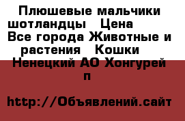 Плюшевые мальчики шотландцы › Цена ­ 500 - Все города Животные и растения » Кошки   . Ненецкий АО,Хонгурей п.